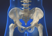 Hip Symposium: Clinical Medicine, Functional Science and Applications to the Hip and Trunk