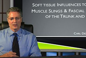 Soft Tissue Influences to Stability: Muscle Slings & Fascial Networks of the Trunk and Hips