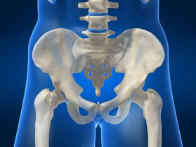The Hip Symposium:  Clinical Medicine, Functional Science and Applications of the Hip and Trunk